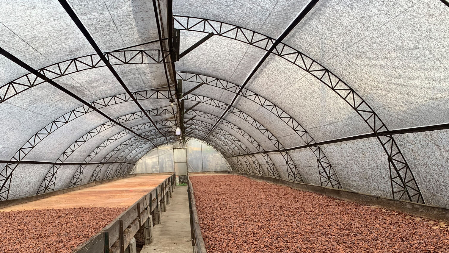 SÃ©choirs fÃ¨ve de cacao coopÃ©rative Conacado en RÃ©publique dominicaine - PÃ¢te Ã  tartiner bio